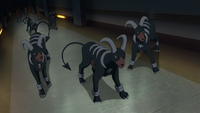 Team Flare Grunt's Houndoom (multiple)