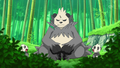 Pangoro with darker ears and paws