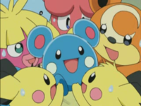 Azurill Pichu Bros.png