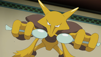 Ash's Alakazam