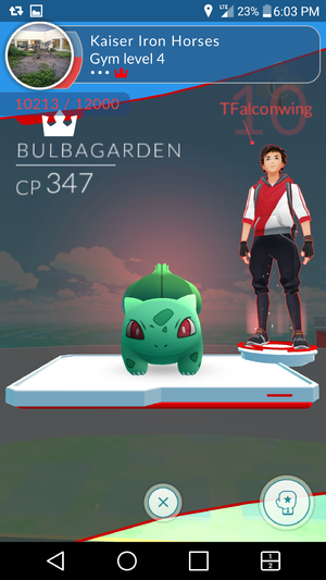 GO Guide Gym 2.png