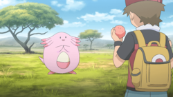 Red Chansey PO.png