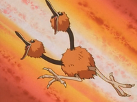 Otoshi Doduo.png