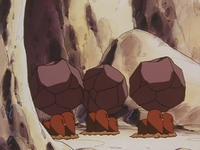 Pietra's Dugtrio (x3)