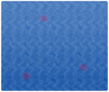 Box Seafloor BDSP.png