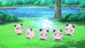 Aether Paradise Ditto Transform.png