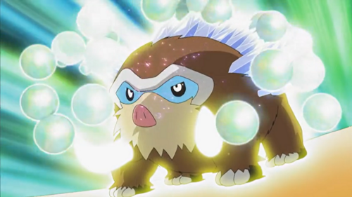 Dawn's Mamoswine - Bulbapedia, the community-driven Pokémon encyclopedia