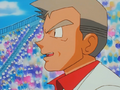 Professor Oak's eyebrows