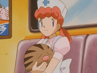 Nurse Joy's Swinub