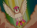 Ash Pidgeotto Sand Attack.png