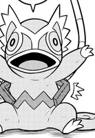 Gizmo Kecleon JNM.png