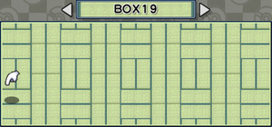 Pokémon Box RS Carpet.png