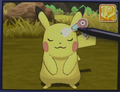 Blowdrying Pikachu