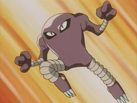 Shiro's Hitmonlee