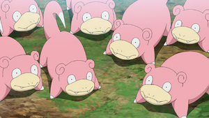 Slowpoke Island Slowpoke.png