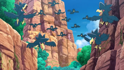 Vast Poni Canyon Murkrow.png