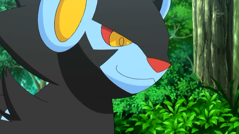 File:Ash Luxray.png