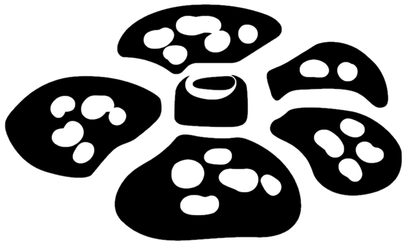 File:SetSymbolJungle.png