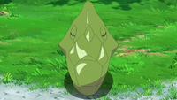 Goh's Caterpie and Metapod