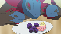 Pokémon Grand Eating Contest Hydreigon.png