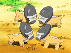 pokemon shieldon evolution