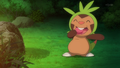 Chespin without one spike on its head