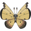 0666Vivillon-Sandstorm.png