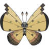 0666Vivillon-Sandstorm.png