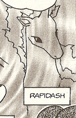 Kiaraway's Rapidash