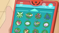 Kricketina Kylie's Bug-type Pokémon
