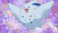 Princess Salvia's Togekiss