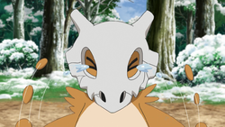 ◓ Anime Pokémon Journeys (Pokémon Jornadas) • Episódio 15: Dia de inverno,  onde está o osso de Cubone?