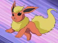 Savannah's Flareon