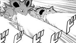 Marshadow Nidoking Nidoqueen M20 manga.png