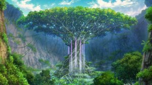 Forest of Okoya.png