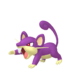 Rattata