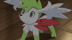 Mallow Shaymin Sky Forme.png