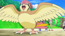 CONHEÇA PIDGEOT O POKEMON PÁSSARO POKEDEX 018 #games #jogos #anime