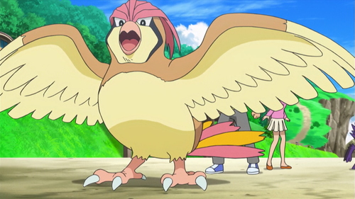 Pidgeotto anime.png