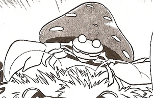 Ran Parasect GDZ.png