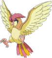 017Pidgeotto AG anime.png