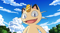 Grand Spectrala Islet Meowth Illusion.png