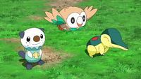 The Hisui region first partner Pokémon