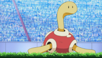 Ash's Shuckle