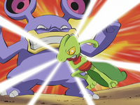 Ash Treecko Quick Attack.png