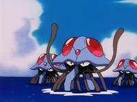 Captain Crook's Tentacruel (multiple)