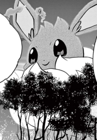 All of Eevee's evolution. :-) : r/pokemon