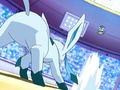 Piplup versus Glaceon.png