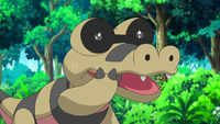 Unknown's Sandile