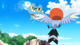 CBBC - Pokémon: XY, Series 17 - XY, A Battle of Aerial Mobility!